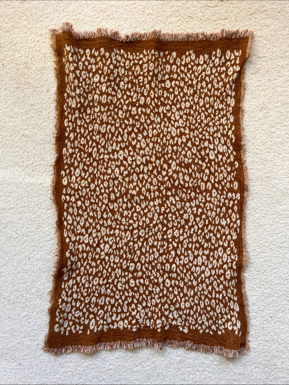 Madewell reversible Leopard wool Scarf
